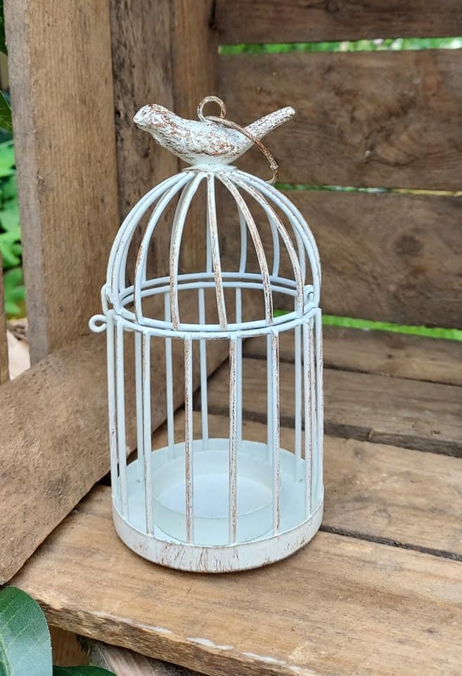 birdcage